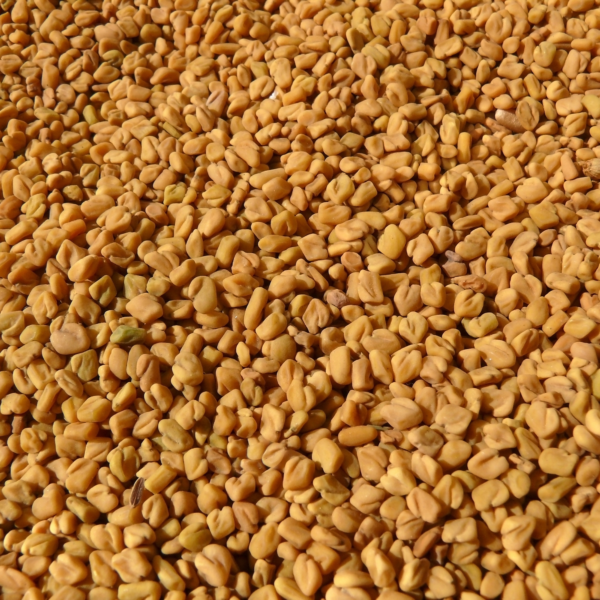 Feneoil – Image 2