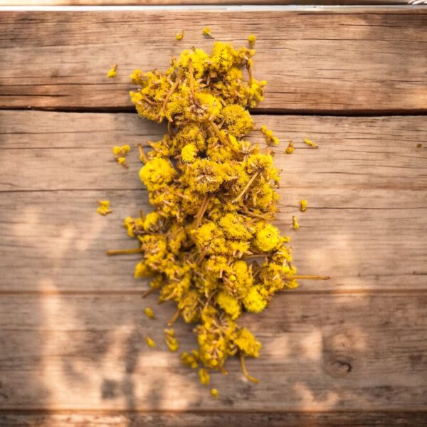 Savon Surgras Vanille et Fleurs de Mimosa – Image 3